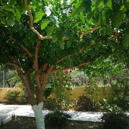 Apartments By The Sea Gazi Ngoại thất bức ảnh